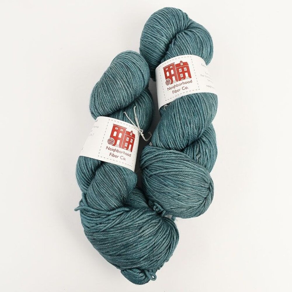 Neighborhood Fiber Co Studio Worsted Yarn 2 Skeins SW Merino Wool Hollins Market